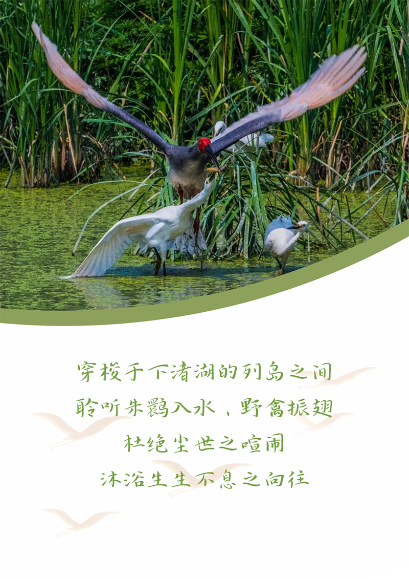 心心念廿 相伴AG8亚游 | 与德清相约 贺廿载诞辰